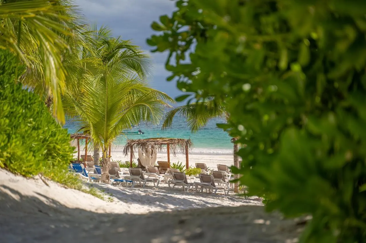 ****  Alito Tulum Hotel 멕시코