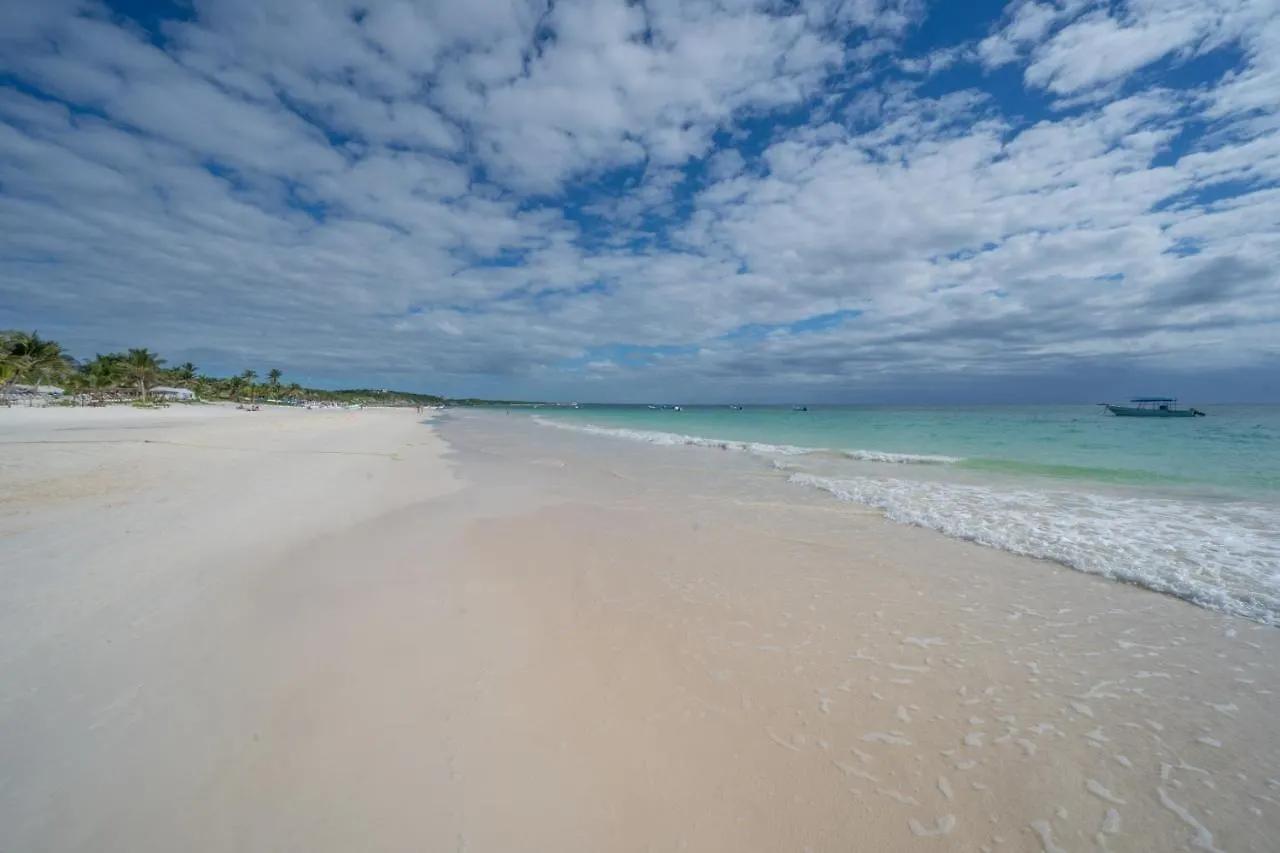Alito Tulum Hotel 멕시코