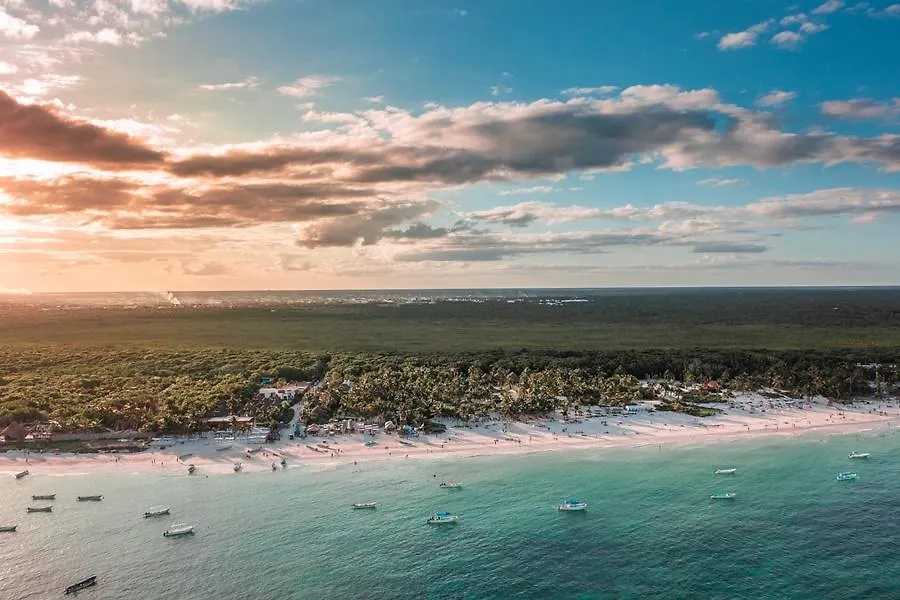 ****  Alito Tulum Hotel 멕시코