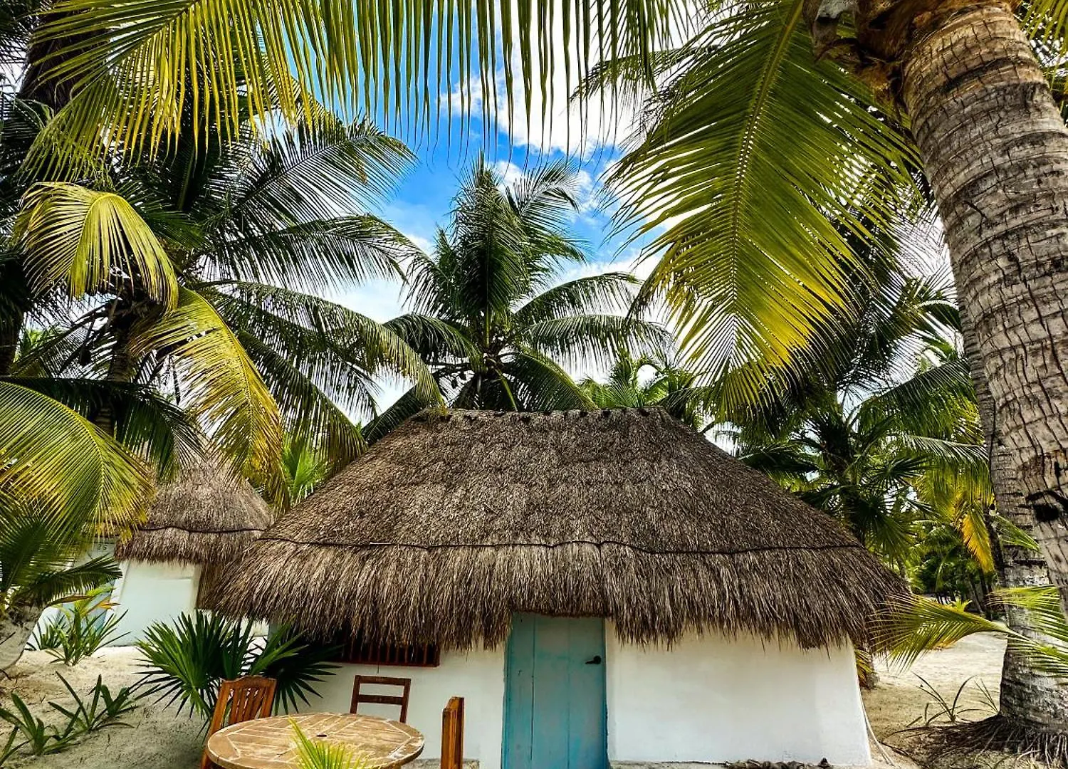 Alito Tulum Hotel