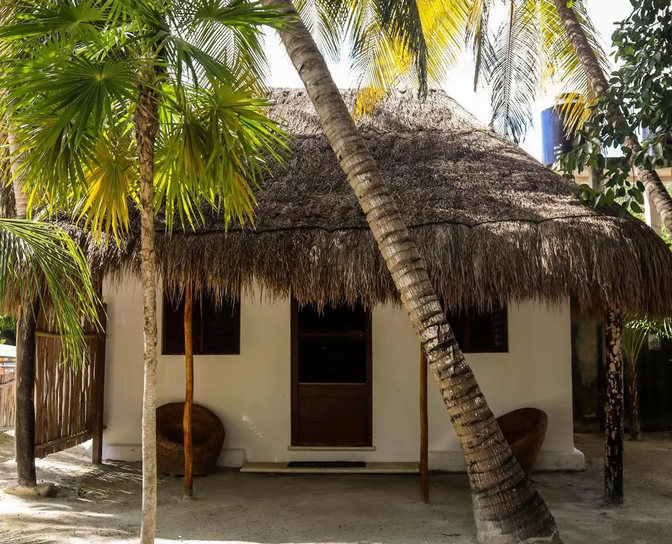 Alito Tulum Hotel 멕시코