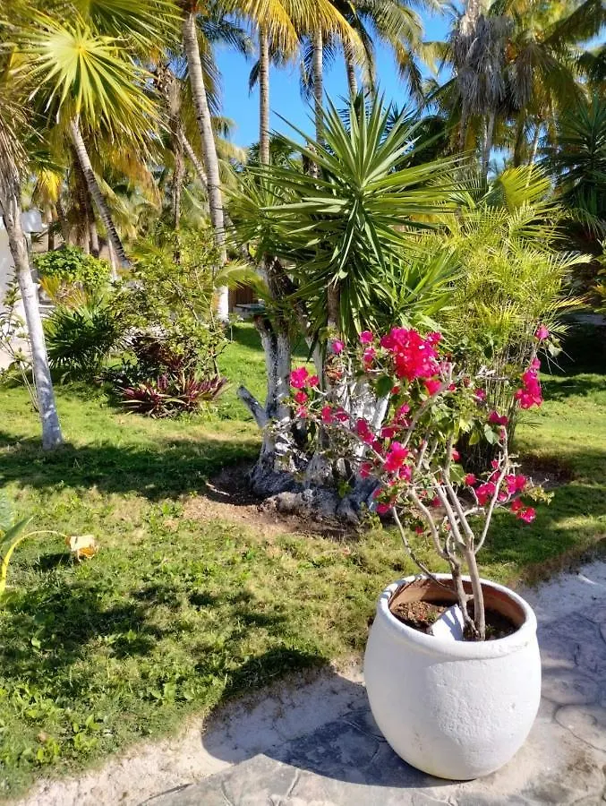 ****  Alito Tulum Hotel Meksika