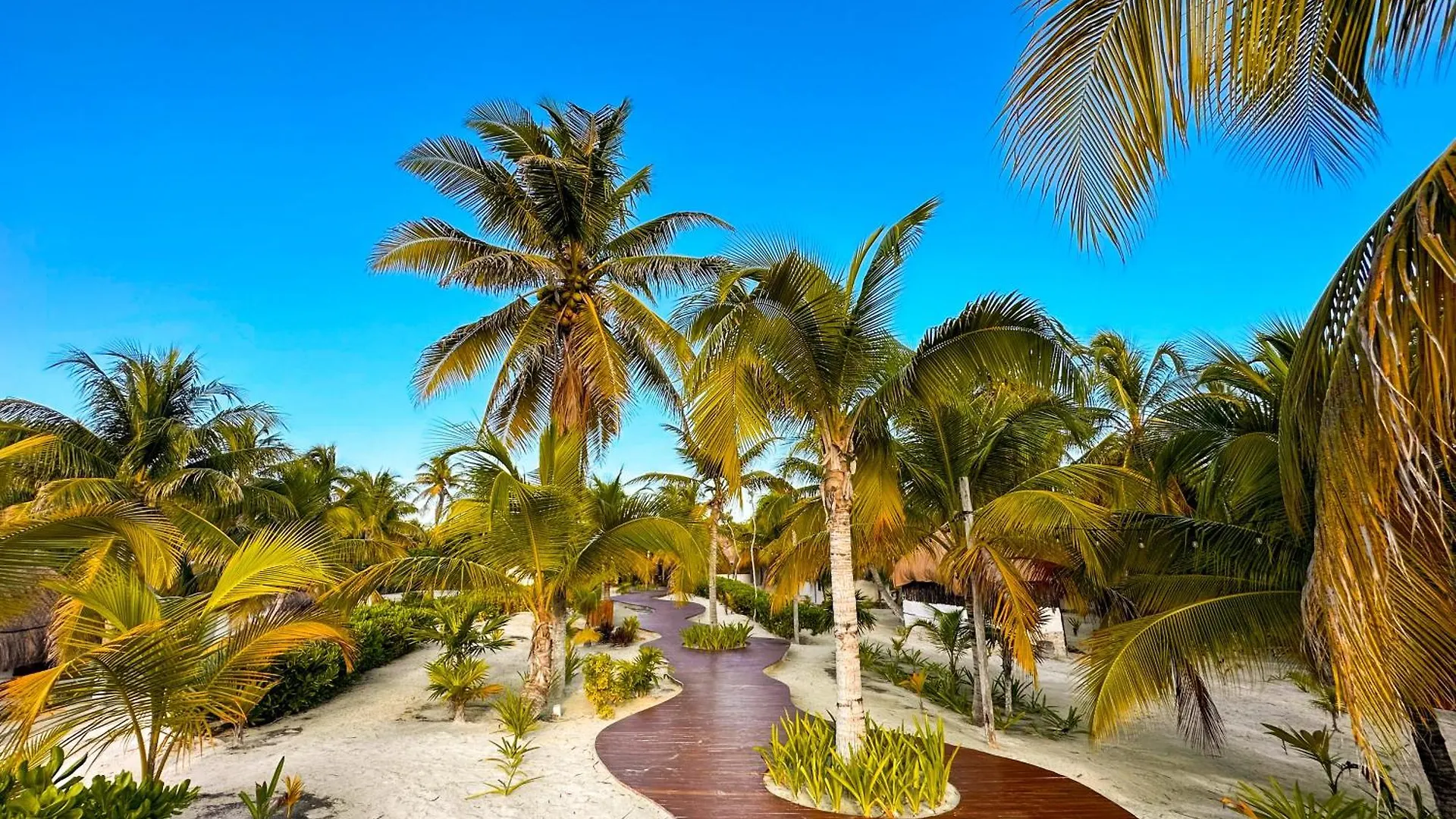 Alito Tulum Hotel